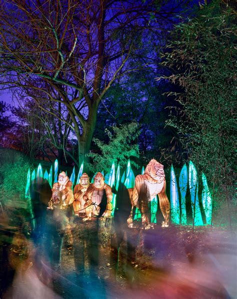 Bronx zoo holiday lights - The Bronx Zoo transforms into an illuminated festive paradise with its Holiday Lights event. The zoo sparkles with lantern-lit safaris, artistic light shows, and custom-designed animal lanterns.